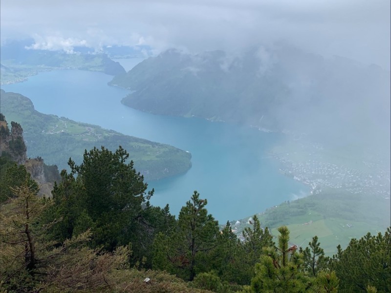 3bd444af 28f5 4083 8e3f 5563d4957d29