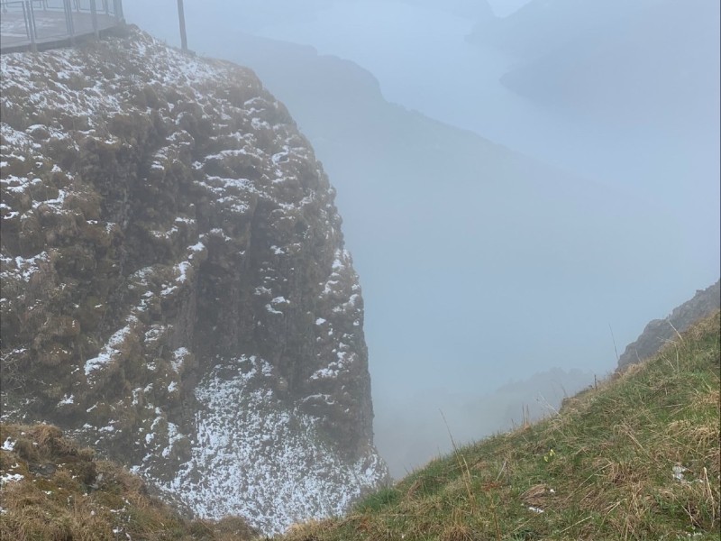 d53b5105 61c6 463d ae52 4f0b3fc87f46